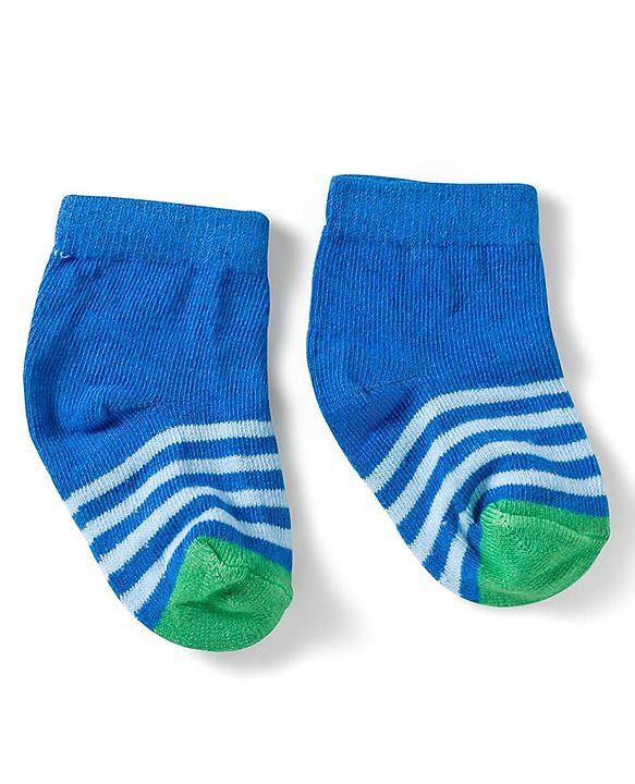 Cute Walk by Babyhug Knit Ankle Length Anti Bacterial Socks with Dino & Stripes Design Pack of 3 - White & Blue