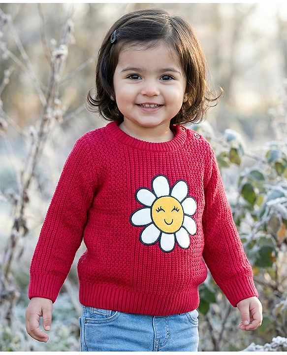 Babyhug Knit Full Sleeves Pullover Sweater with Floral Embroidery - Dark Pink
