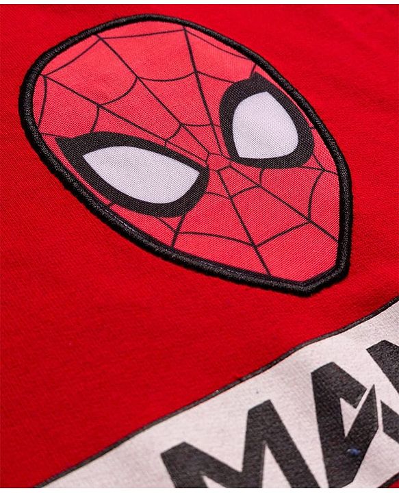 Pine Kids Marvel Terry Knit Drop Shoulder Full Sleeves Sweatshirt With Spider-Man Graphics & Badge Detailing - Blue & Red