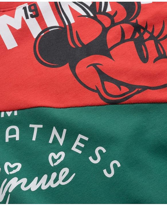 Pine Kids Disney Terry Knit Drop Shoulder Full Sleeves Cut & Sew Sweatshirt with Minnie & Friends Graphic - Multicolor