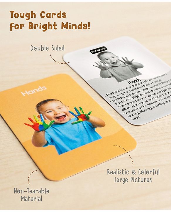 Babyhug 150 Piece Early Learning Flash Cards 8 Themes in One| Educational Double-Sided Cards| Montessori Learning| Fosters Interest| Colorful Cards| Safe & Non-Toxic - Multicolor