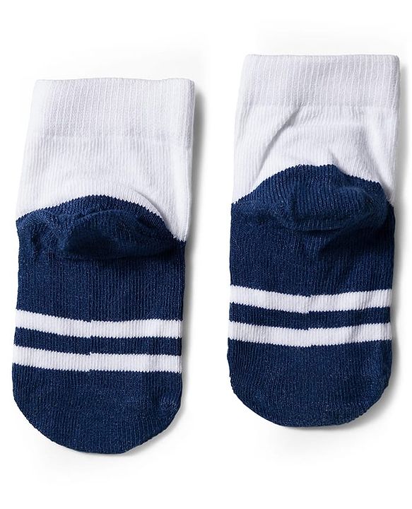 Cute Walk by Babyhug Knit Ankle Length Anti Bacterial Socks with Stripe Polka Dot & Teddy Design Pack of 5 - Grey & Navy Blue