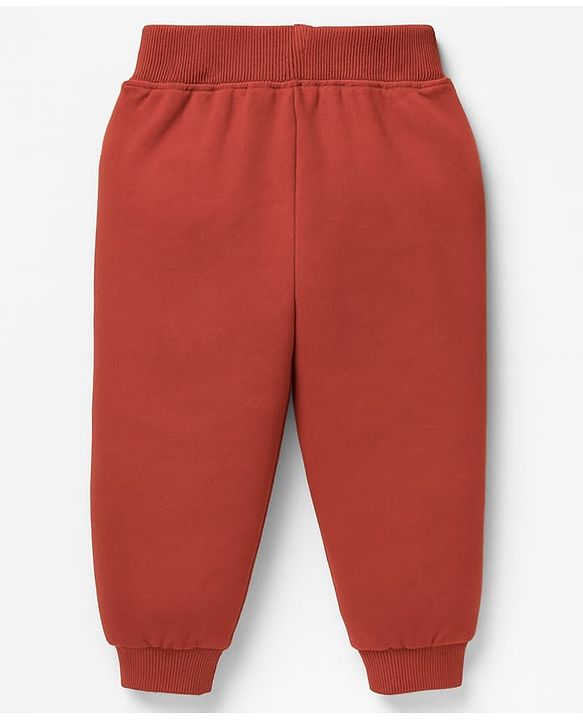 Babyhug Terry Knit Full Sleeves Hooded Cut & Sew T-Shirt & Lounge Pant Set with Text Print - Multicolor