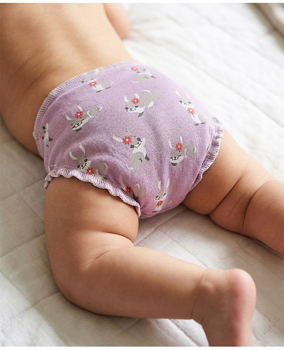 Babyhug Leak Proof Cloth Langot Pack of 3 Small Size Rabbit Rainbow and Floral Print | Triple Layer Protection | Reusable | Designed for Short Term Comfy Wear | Mess Free - Plum