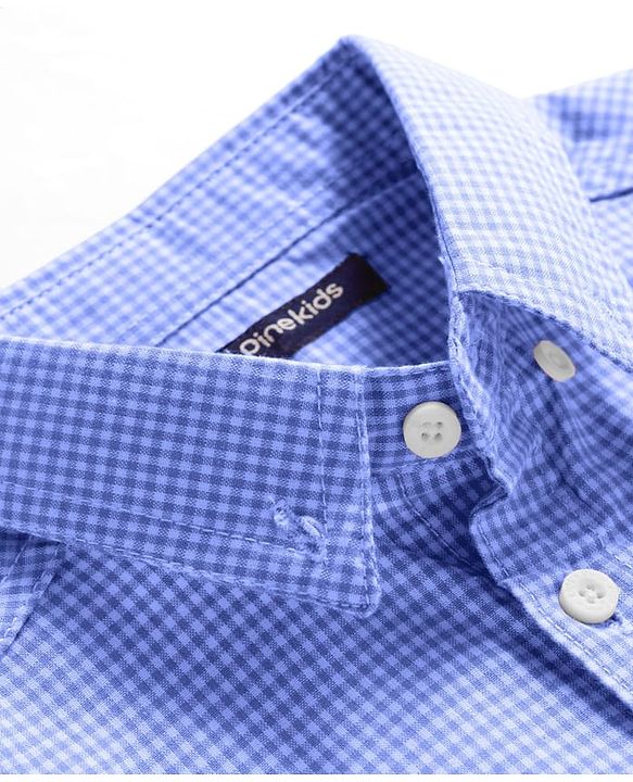Pine Kids Cotton Woven Full Sleeves Shirt With Checks - Blue