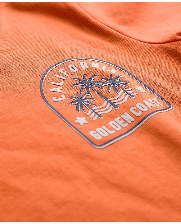Babyhug 100% Cotton Knit Half Sleeves T-Shirts With Tropical Theme Print Pack of 3 - Peach Green & Blue
