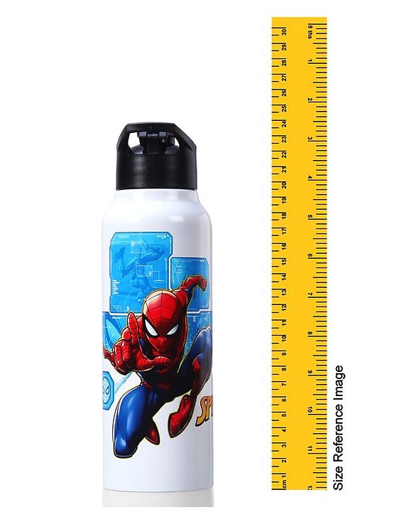 Babyhug Marvel Spiderman Stainless Steel Water Bottle - 750ml| Leak Resistant| BPA Free| Rust Proof| Gifting for School Going Boys & Girls| Convenient Flip Cap| Ideal for Home and Outside Use