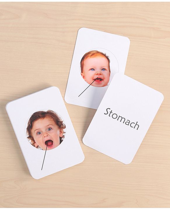 Babyhug Early Learning and Educational Double Sided Flash Cards New Learning for Every Day of the Year Develops Vocabulary & Recognition Skills Inhances Memory & Cognitive Skills - 365 Cards