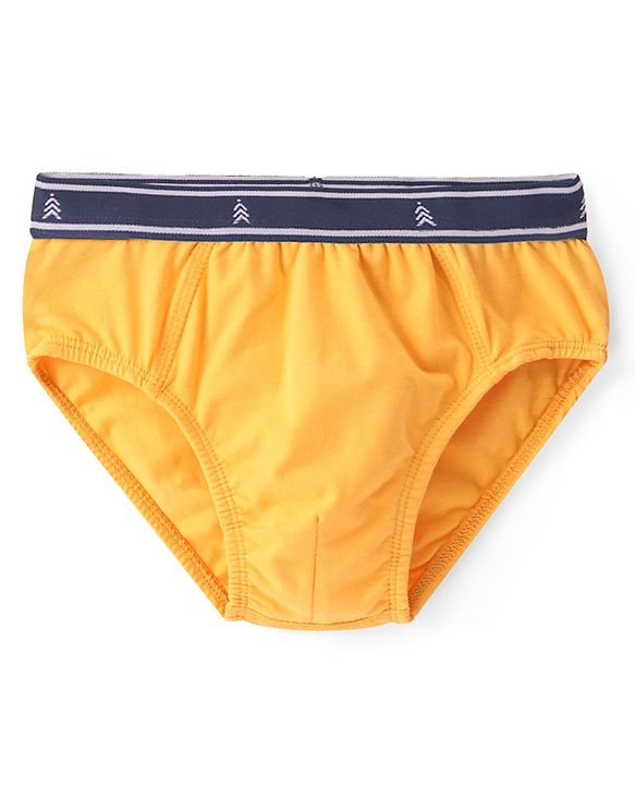 Pine Kids Cotton Elastane Knit Briefs Stripes Pack of 3 (Color May Vary)