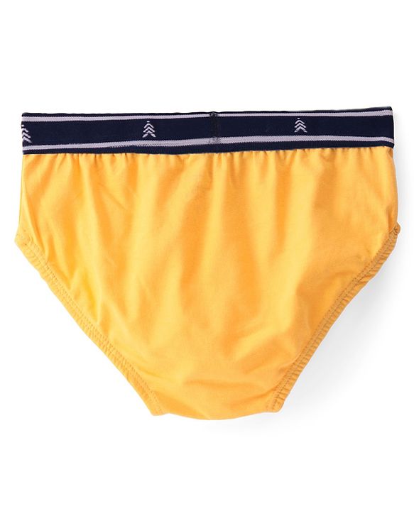 Pine Kids Cotton Elastane Knit Briefs Stripes Pack of 3 (Color May Vary)