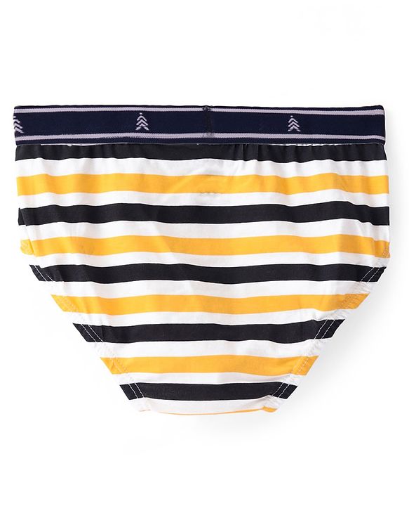 Pine Kids Cotton Elastane Knit Briefs Stripes Pack of 3 (Color May Vary)