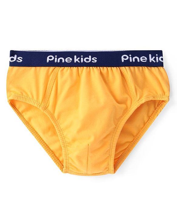 Pine Kids Cotton Elastane Knit Briefs Stripes Pack of 3 (Color May Vary)