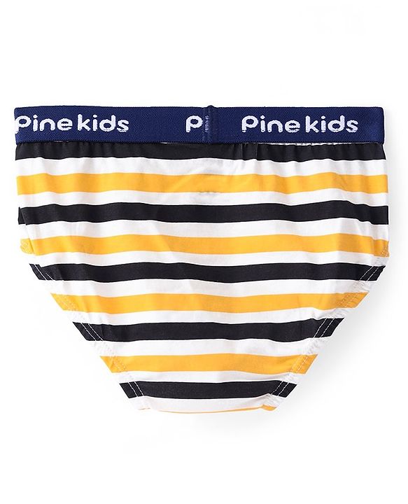 Pine Kids Cotton Elastane Knit Briefs Stripes Pack of 3 (Color May Vary)