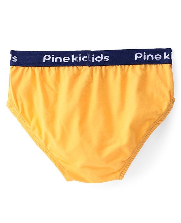 Pine Kids Cotton Elastane Knit Briefs Stripes Pack of 3 (Color May Vary)