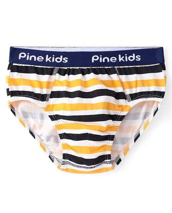 Pine Kids Cotton Elastane Knit Briefs Stripes Pack of 3 (Color May Vary)