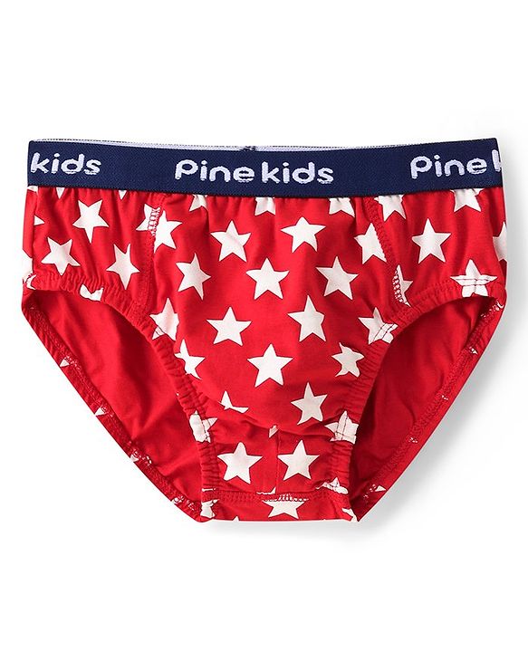 Pine Kids Cotton Elastane Knit Briefs Pack of 3 (Color May Vary)