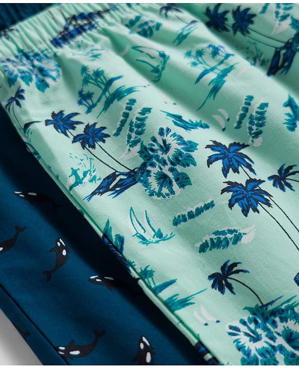 Pine Kids Cambric Woven Boxers With Tropical Theme Print Pack Of 2 - Colour May Vary