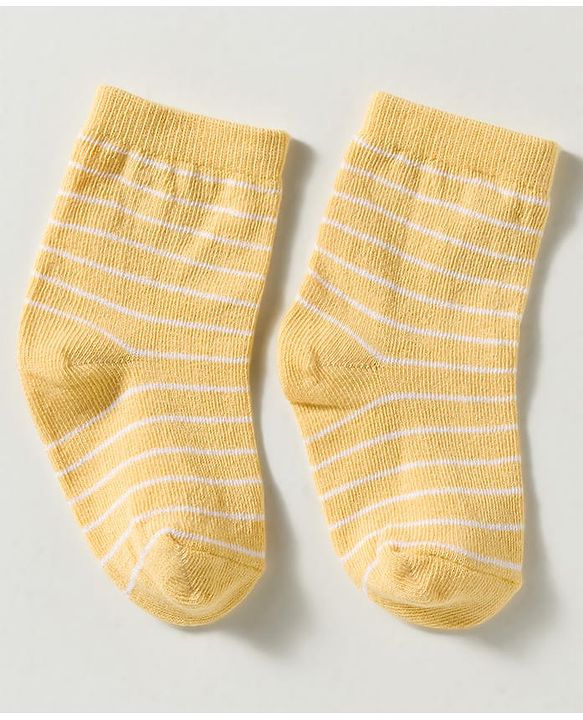 Cute Walk by Babyhug Non Terry Knit Ankle Length Anti Bacterial Striped & Animal Designed Socks Pack of 3 - Multicolor