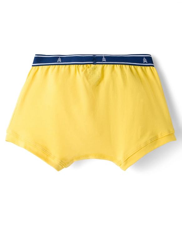Pine Kids Cotton Knit Trunks With Stripes & Sports Theme Print Pack Of 3 ( Colour May Vary )