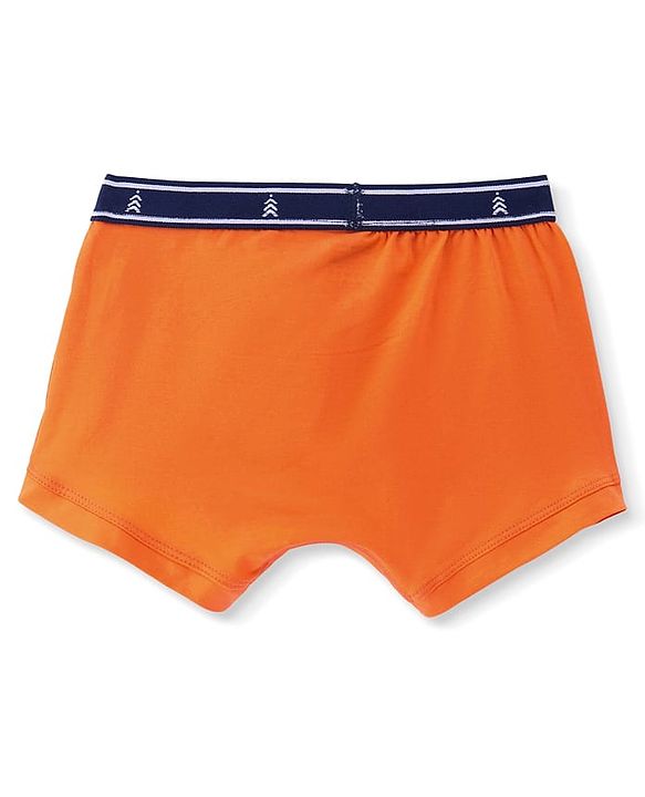 Pine Kids Cotton Knit Sea Life Printed & Solid Trunks Pack Of 3 -Multicolour