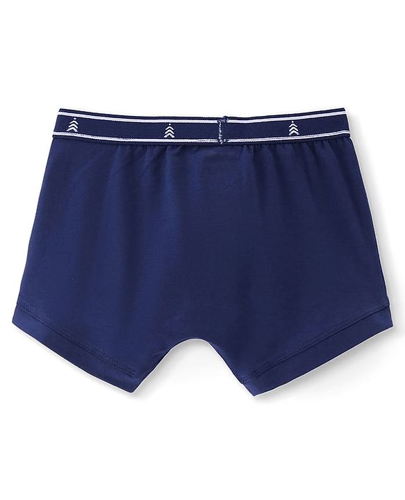 Pine Kids Cotton Knit Sea Life Printed & Solid Trunks Pack Of 3 -Multicolour