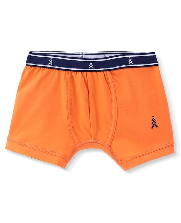 Pine Kids Cotton Knit Sea Life Printed & Solid Trunks Pack Of 3 -Multicolour