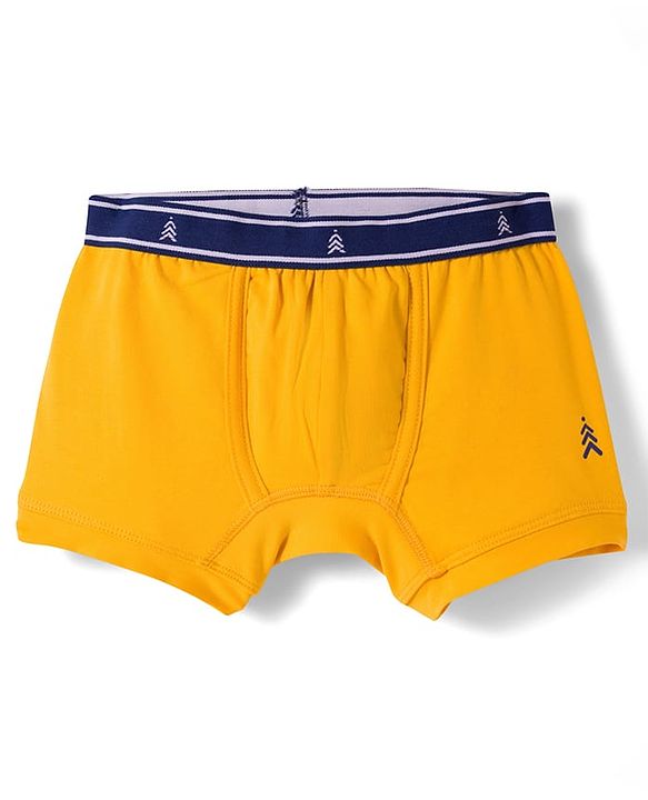 Pine Kids Cotton Elastane Construction Vehicles Printed Trunks Pack Of 3 - ( Colour May Vary )