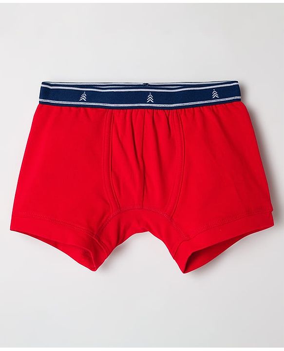 Pine Kids Cotton Elastane Knit Solid Color Trunks Pack of 3 (Color May Vary)