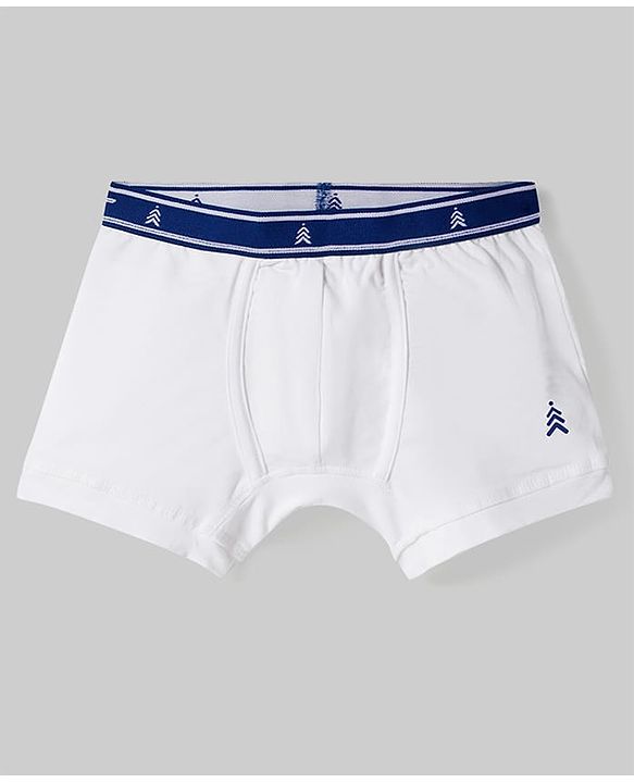 Pine Kids Cotton Elastane Knit Solid Trunks Pack of 3 (Color May Vary)