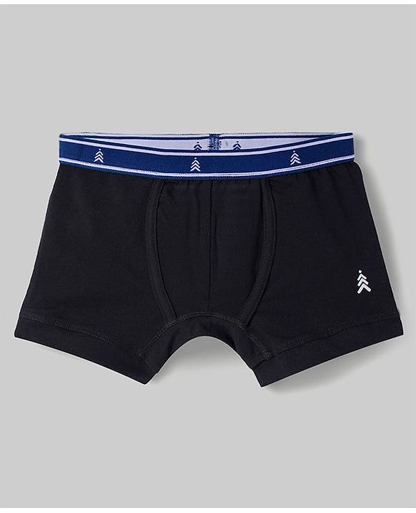 Pine Kids Cotton Elastane Knit Solid Trunks Pack of 3 (Color May Vary)