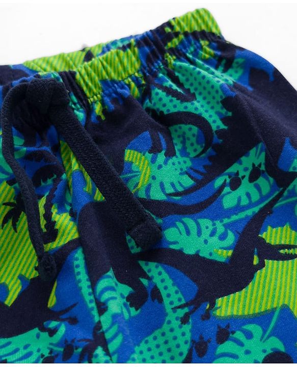 Babyhug Single Jersey Knit Full Length Lounge Pant With Dino Print - Multicolor