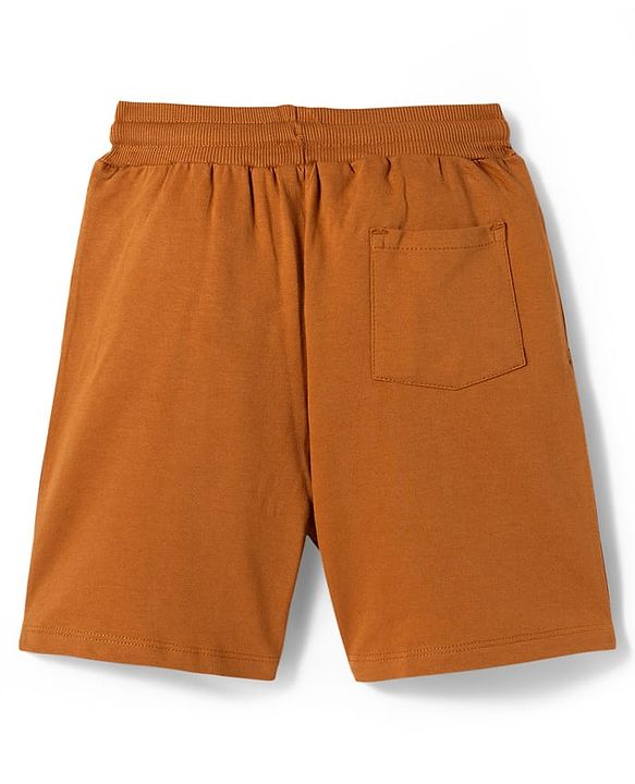 Pine Kids Single Jersey Knit Half Sleeves T-Shirt & Shorts Set with Believe Print - Light Green & Brown
