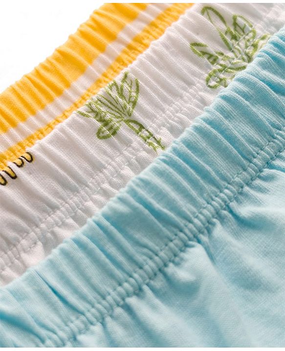 Babyhug 100% Cotton Knit Animal Printed & Striped Briefs Pack Of 3 - Mutlicolour