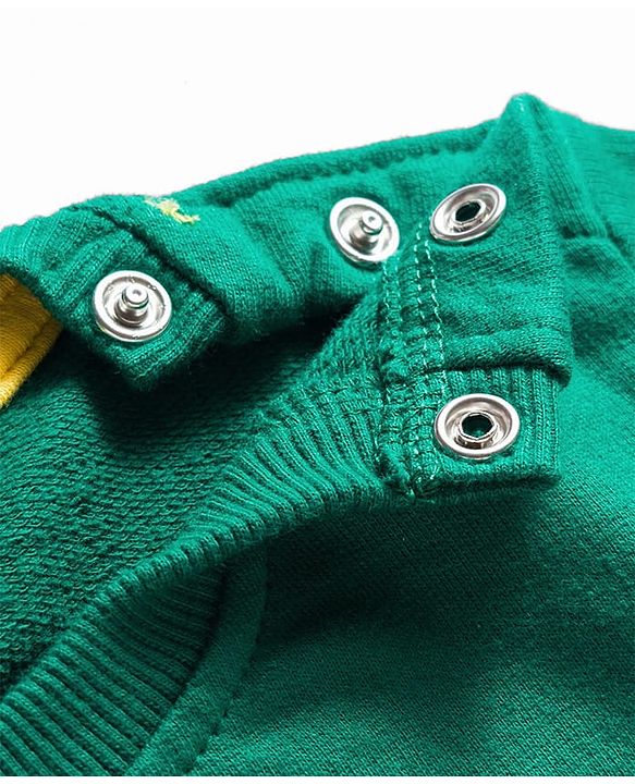 Babyhug Terry Knit Full Sleeves T-Shirt & Lounge Pant Set with Bear Print & Patch - Green