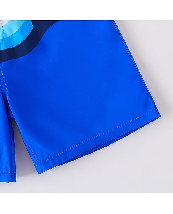 Pine Active Striped Swimming Trunk - Blue