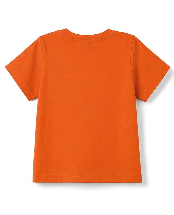Pine Kids Cotton Knit Half Sleeves T-Shirt with National Park Print - Rust Orange