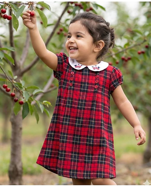 Babyhug Cotton Woven Half Sleeves Checks Frock With Floral Embroidery - Dark Red