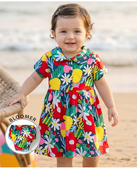 Babyhug Interlock Knit Half Sleeves Floral Printed Peter Pan Collared Frock with Bloomer - Navy Blue