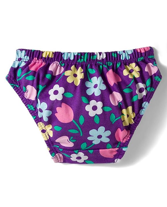 Babyhug 100% Cotton Knit Panties with Tropical Theme Print Pack of 3 - Multicolor