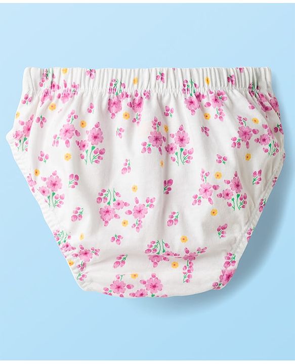 Babyhug 100% Cotton Knit Panties With Floral Polka Dot & Bunny Print Pack of 3 - Multicolor
