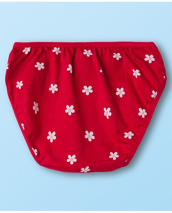 Babyhug 100% Cotton Knit Floral Printed Panties Pack Of 3 - Multicolour