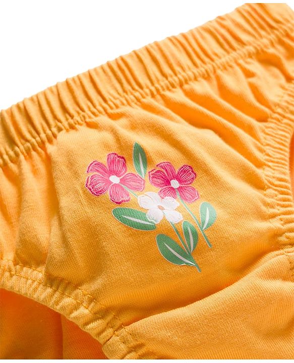 Babyhug 100% Cotton Knit Floral Printed Panties Pack Of 3 - Multicolour
