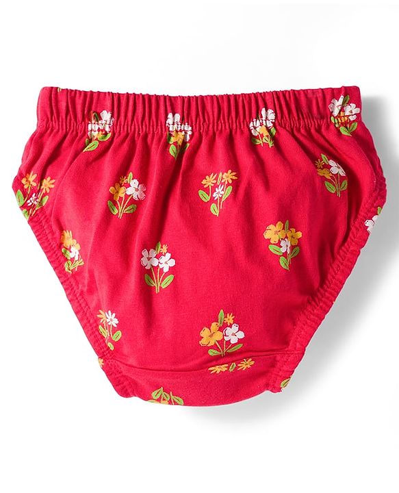 Babyhug 100% Cotton Knit Floral Printed Panties Pack Of 3 - Multicolour