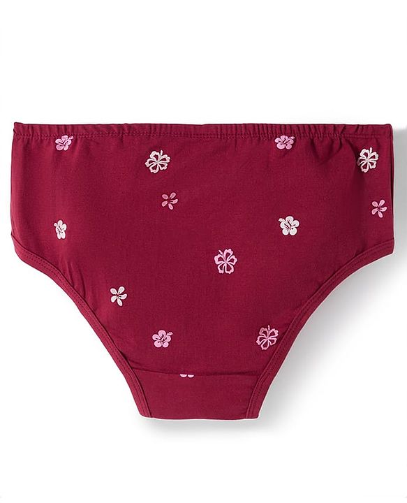 Pine Kids Disney Lycra Knit Panties With Minnie Mouse Graphics Pack of 3 - Multicolor