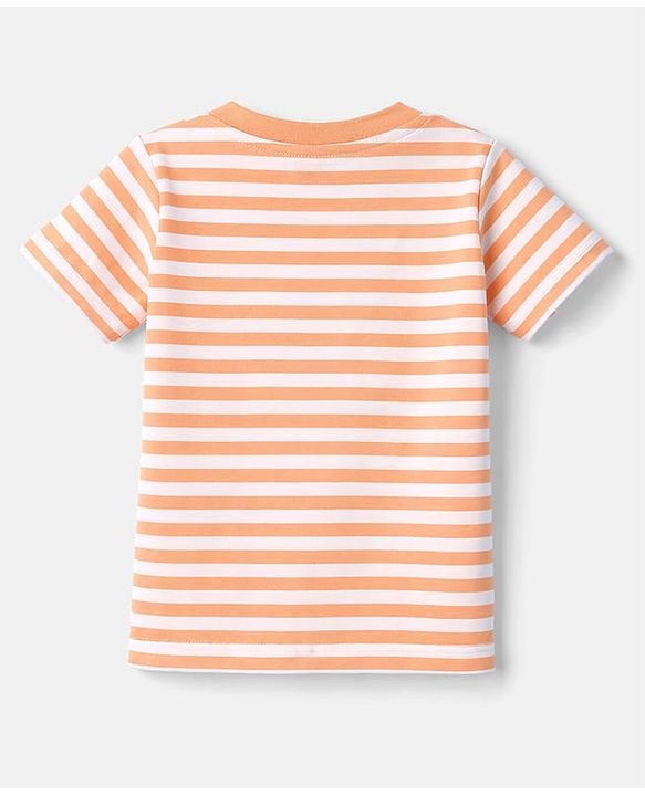 Babyhug 100% Cotton Knit T-Shirts Half Sleeves with Graphics Pack of 3 Multi Color 6-9 Months