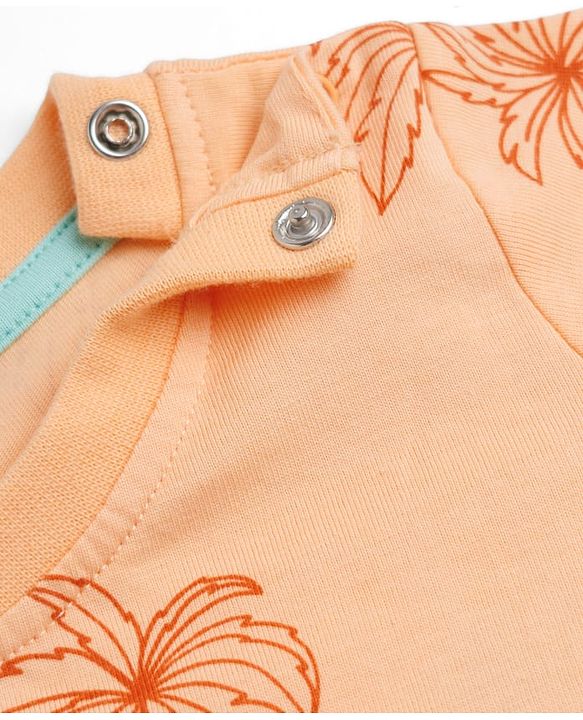 Babyhug Cotton Knit Half Sleeves Striped T-Shirts with Coconut Tree Print Pack of 3 - Multicolor