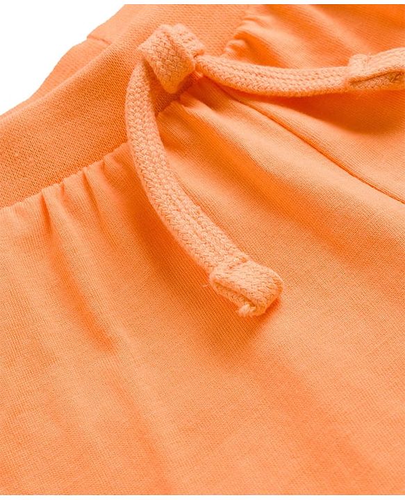 Babyhug 100% Cotton Single Jersey Knit Mid Thigh Shorts With Animal & Text Print Pack of 3 - Multicolor