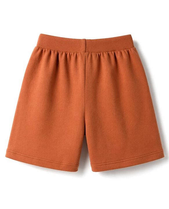 Babyhug Single Jersey Knit Mid Thigh Shorts with Teddy Print Pack of 3 - Multicolor