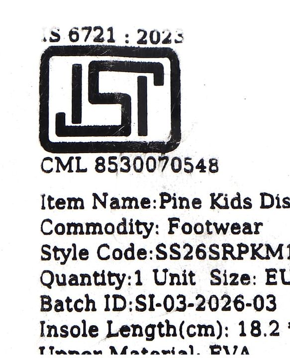 Pine Kids Disney Slip On Flip Flops with Disney Princess Print - Purple
