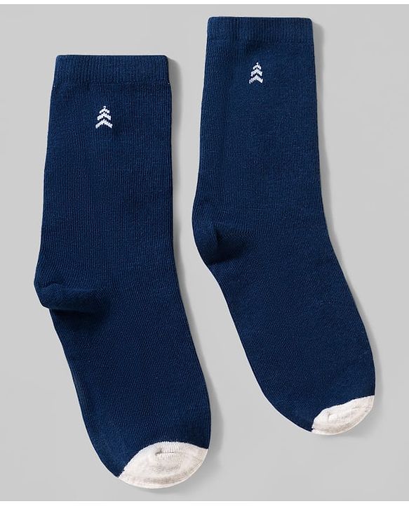 Pine Kids Cotton Knit Ankle Length Solid Socks Pack Of 3 ( Colour May Vary )